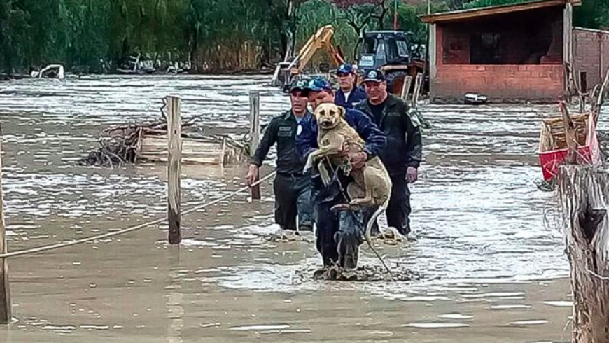 En Bolivia 50 mil habitantes afectados por las lluvias