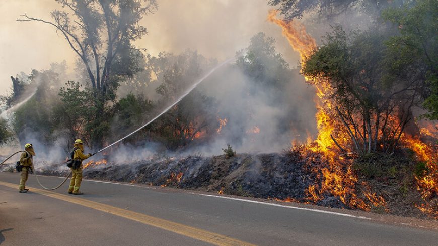 ¿Por qué los incendios forestales de California son tan intensos y qué se puede hacer?
